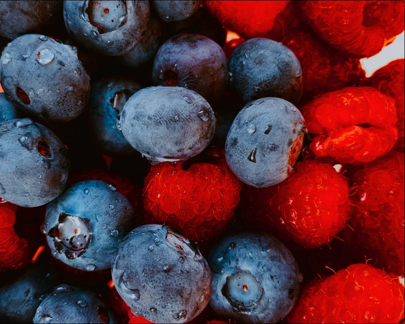 Resveratrol en endometriosis: inflamación, angiogénesis y dolor